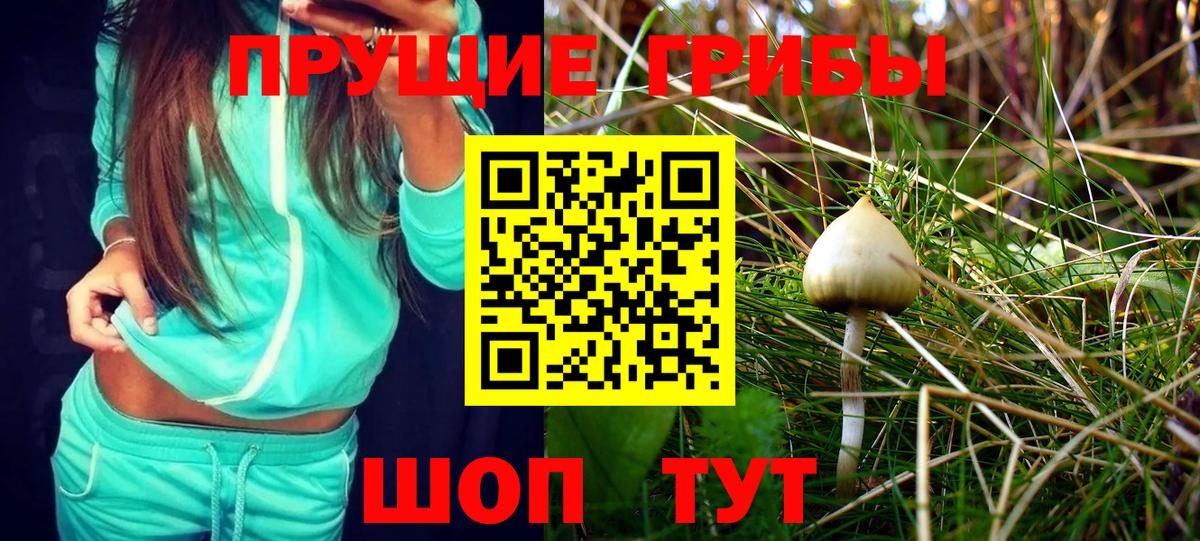 Галлюциногенные грибы Cubensis Сафоново