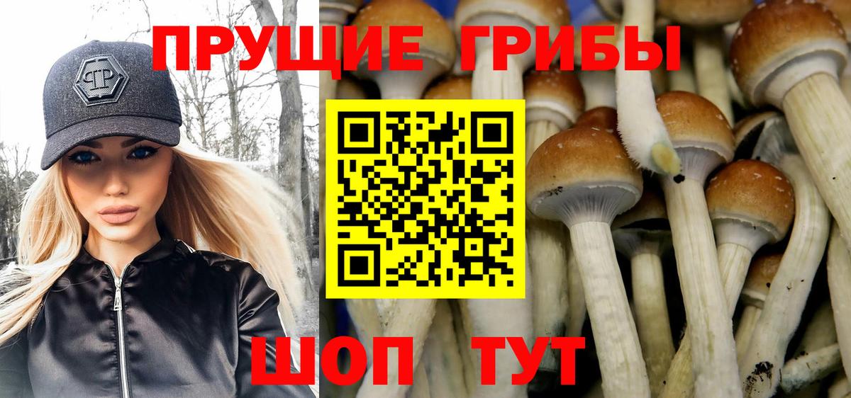 Сафоново  Псилоцибиновые грибы MAGIC MUSHROOMS  Вход с VPN  Галлюциногенные грибы Magic Shrooms 